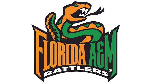 Women's HoopDirt | Florida A&M Assistant Women's Basketball Coach Fired  After Arrest - Women's HoopDirt