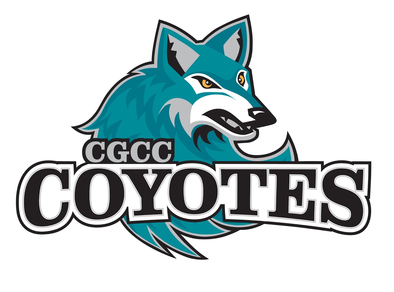 Women's HoopDirt | CGCC Hires New Women's Basketball Coach - Women's ...