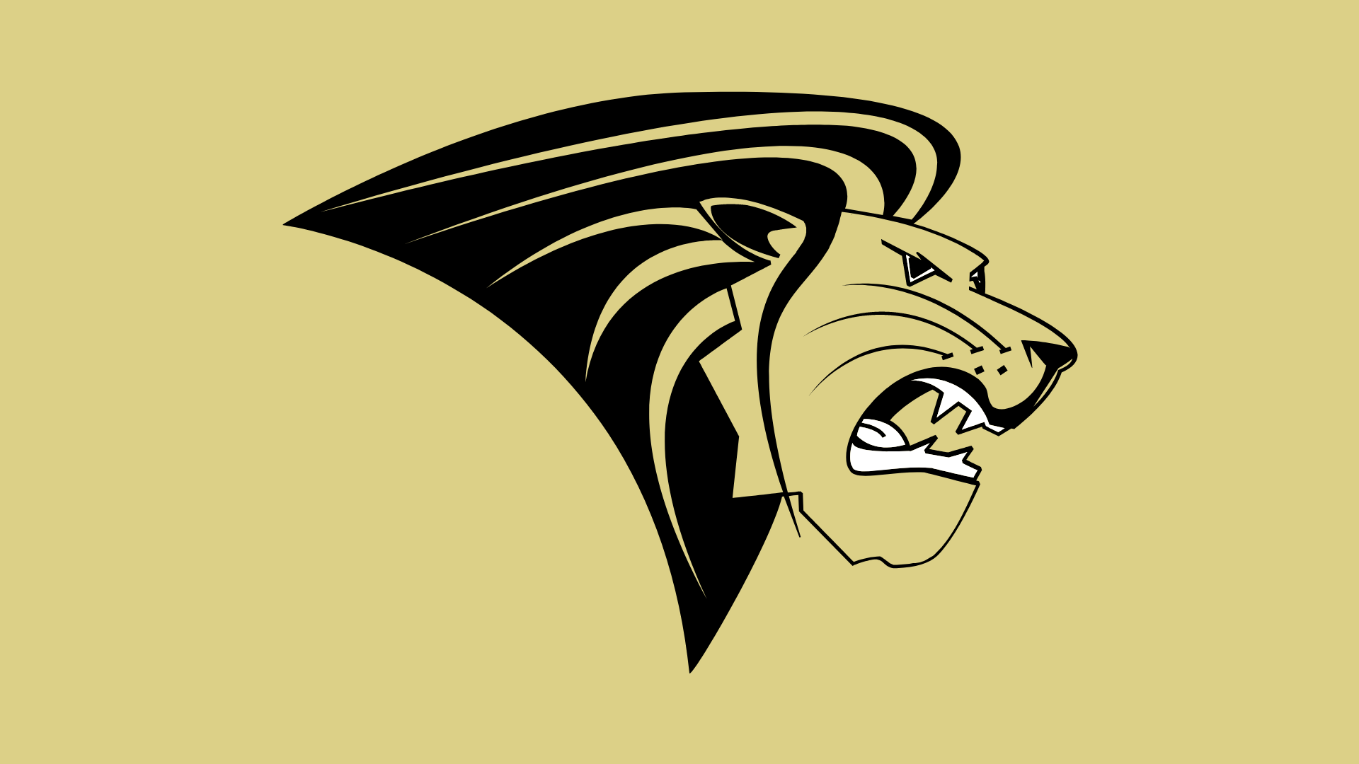 Jason Coomer - Vice President for Intercollegiate Athletics - Staff  Directory - Lindenwood University Athletics