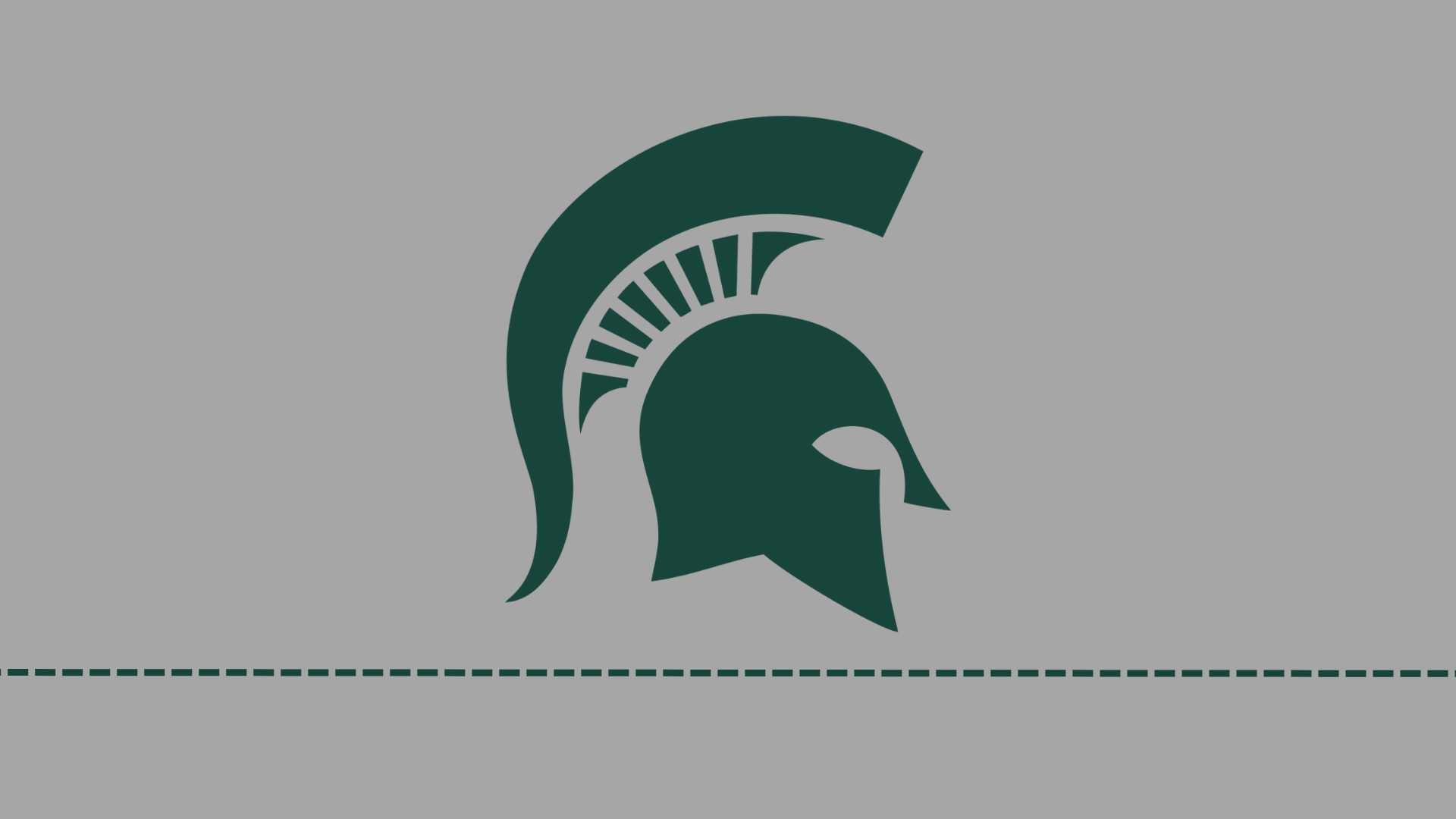 MSU women's basketball hires Okemos native Robyn Fralick as head coach