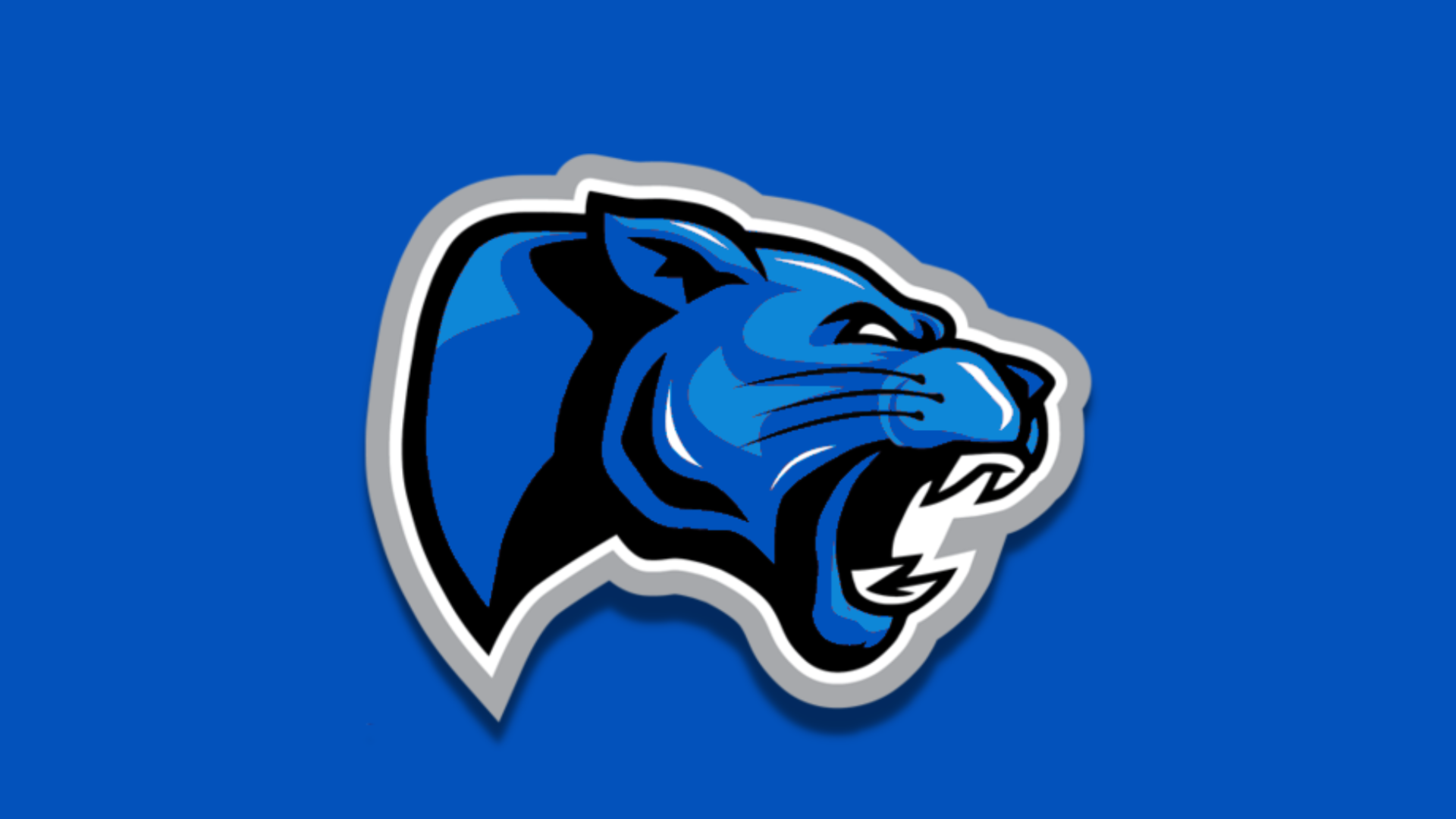 carolina panthers logo black background