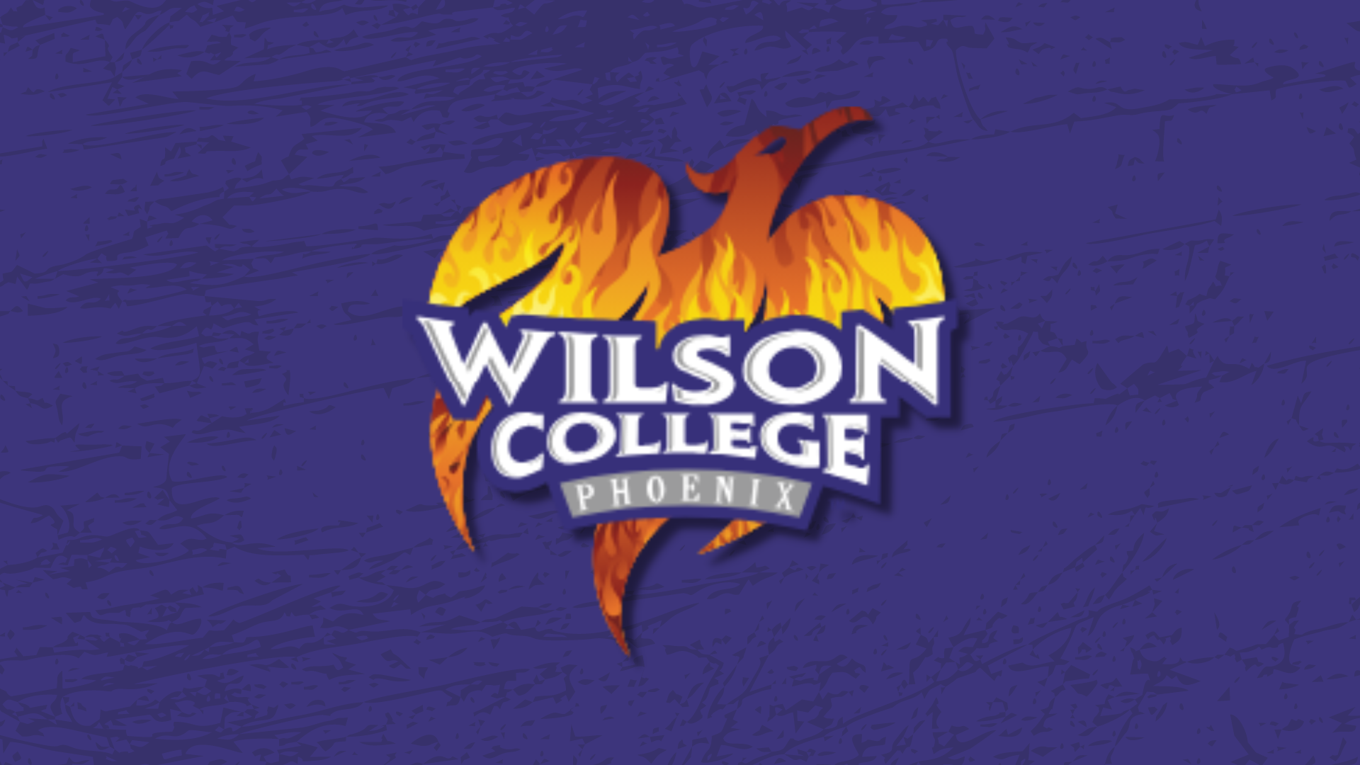 Ward elevated to Head Women’s Basketball Coach at Wilson College – Women’s HoopDirt