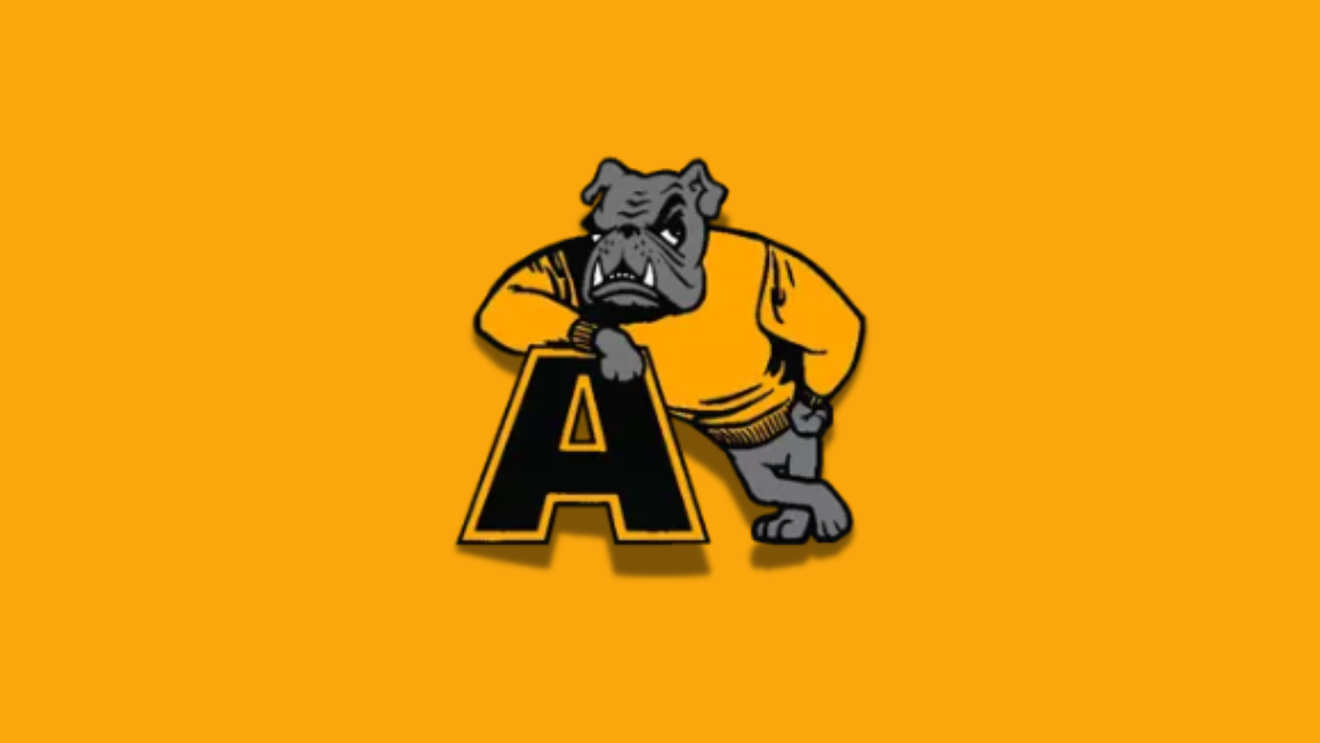 Miller named Women’s Basketball Head Coach at Adrian College – Women’s HoopDirt